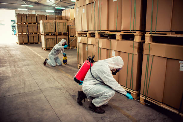 Best Termite Control Services  in Highland, NY