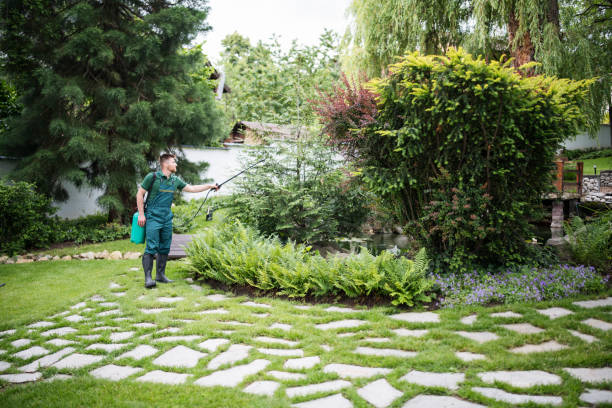 Best Affordable Pest Control Services  in Highland, NY