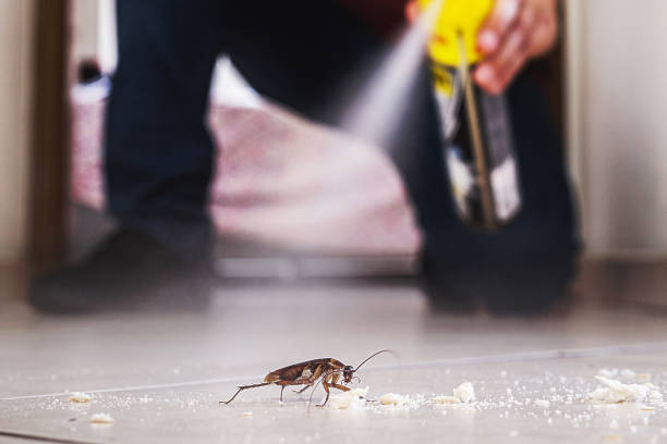 Best Local Pest Control Services  in Highland, NY