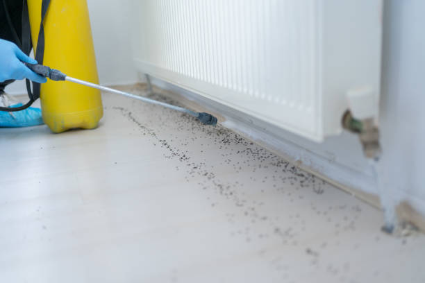 Best Rat Extermination Near Me  in Highland, NY